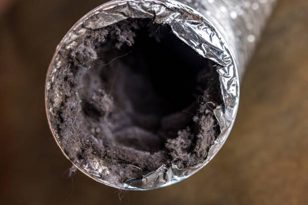 Best Air Duct Cleaning Near Me  in Perkasie, PA